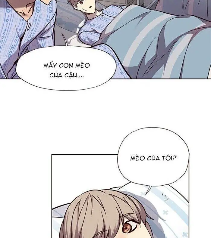 Hoá Thân Thành Mèo Nettruyen ZZZ Chương 46 Page 53