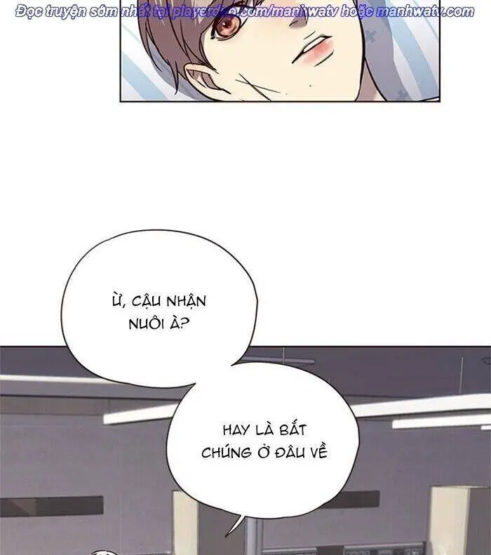 Hoá Thân Thành Mèo Nettruyen ZZZ Chương 46 Page 54