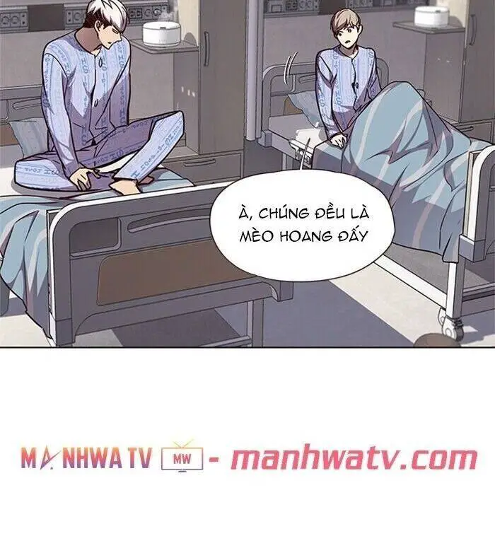 Hoá Thân Thành Mèo Nettruyen ZZZ Chương 46 Page 55