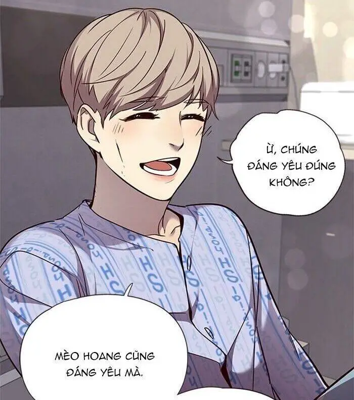 Hoá Thân Thành Mèo Nettruyen ZZZ Chương 46 Page 57