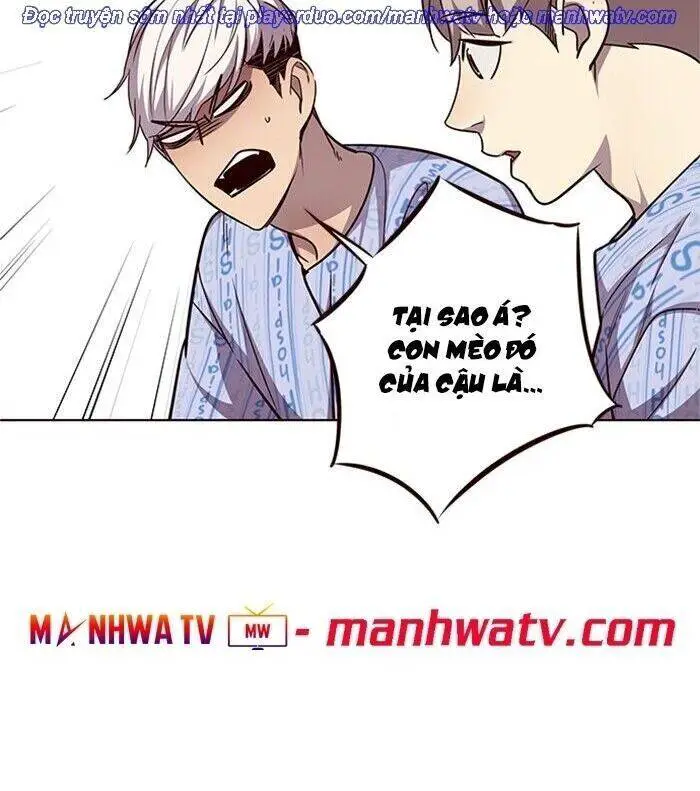 Hoá Thân Thành Mèo Nettruyen ZZZ Chương 46 Page 64