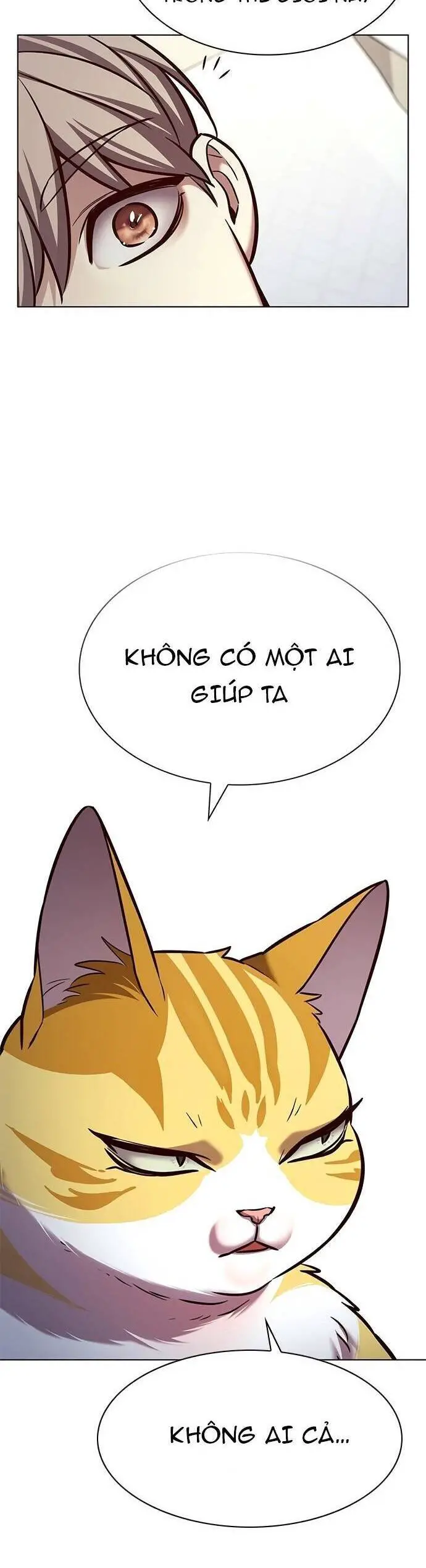 Hoá Thân Thành Mèo Nettruyen ZZZ Chương 214 Page 47