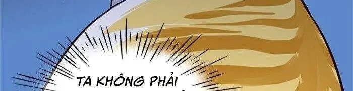Hoá Thân Thành Mèo Nettruyen ZZZ Chương 41 Page 67