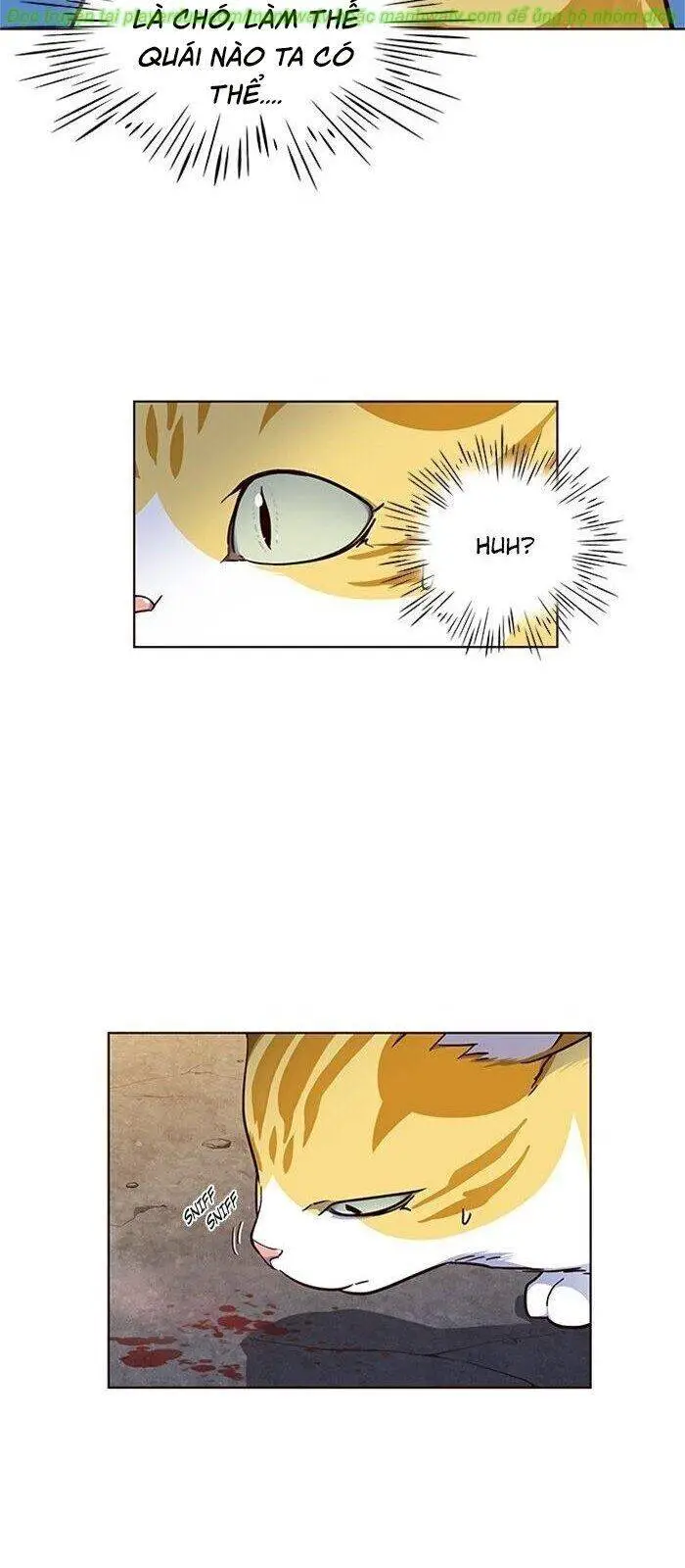 Hoá Thân Thành Mèo Nettruyen ZZZ Chương 41 Page 68