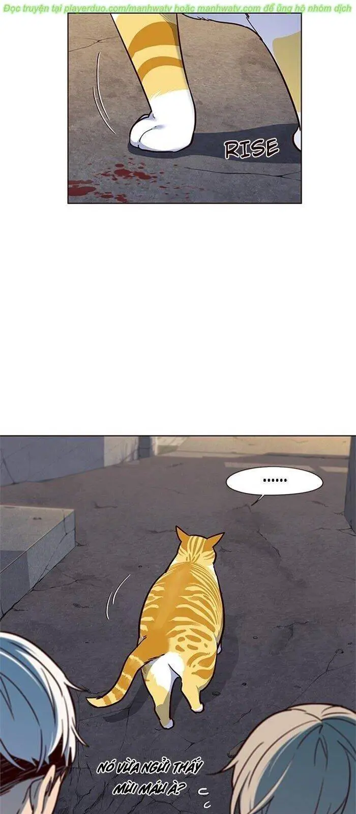 Hoá Thân Thành Mèo Nettruyen ZZZ Chương 41 Page 70