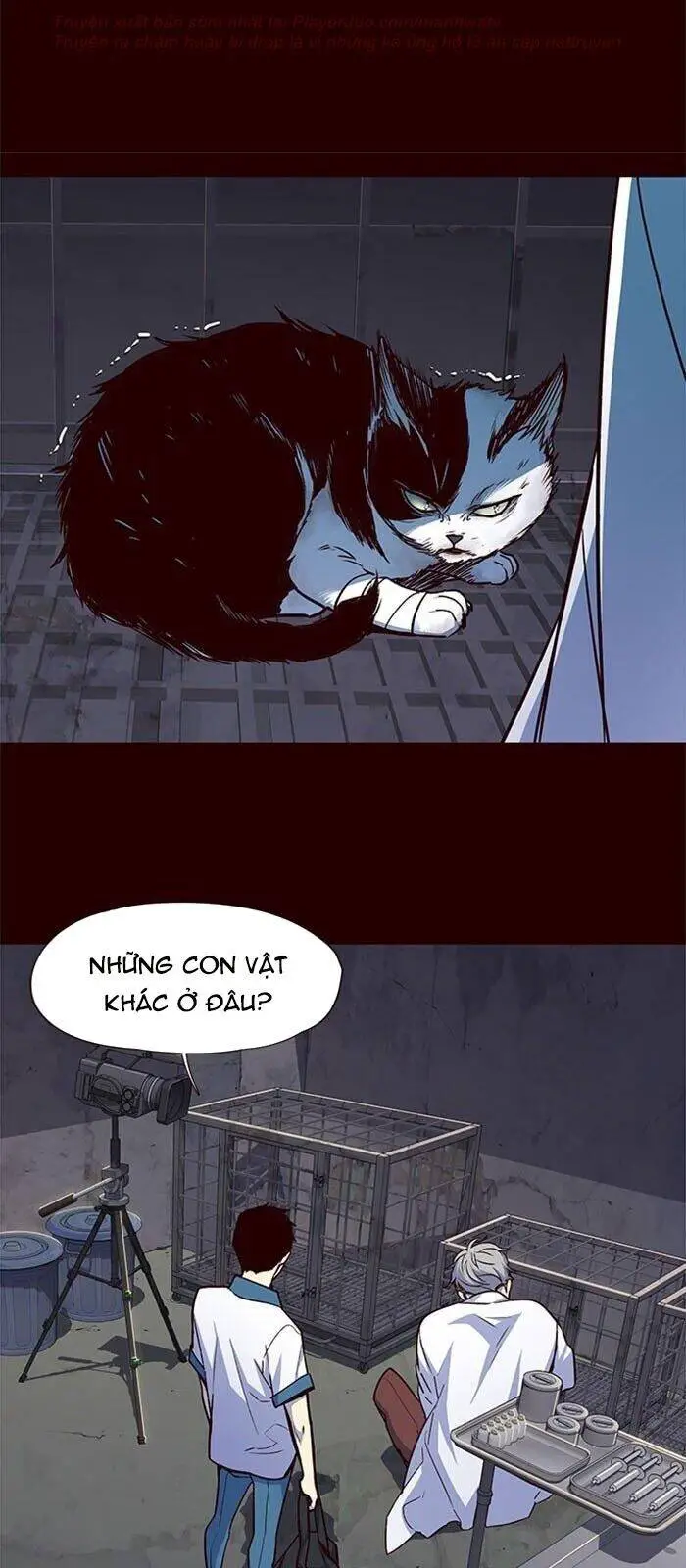 Hoá Thân Thành Mèo Nettruyen ZZZ Chương 36 Page 16