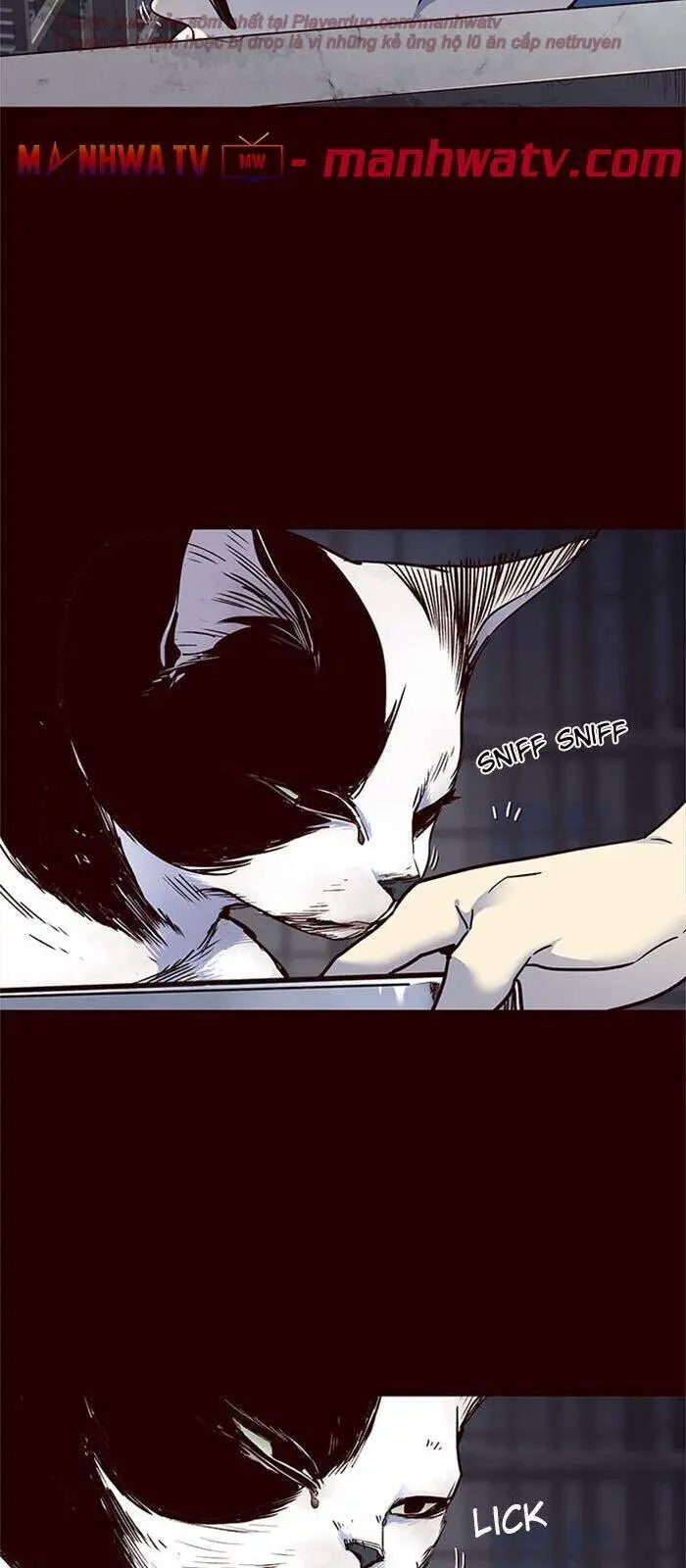 Hoá Thân Thành Mèo Nettruyen ZZZ Chương 36 Page 28