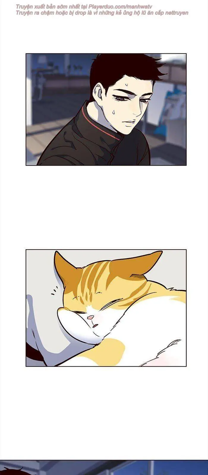 Hoá Thân Thành Mèo Nettruyen ZZZ Chương 36 Page 56