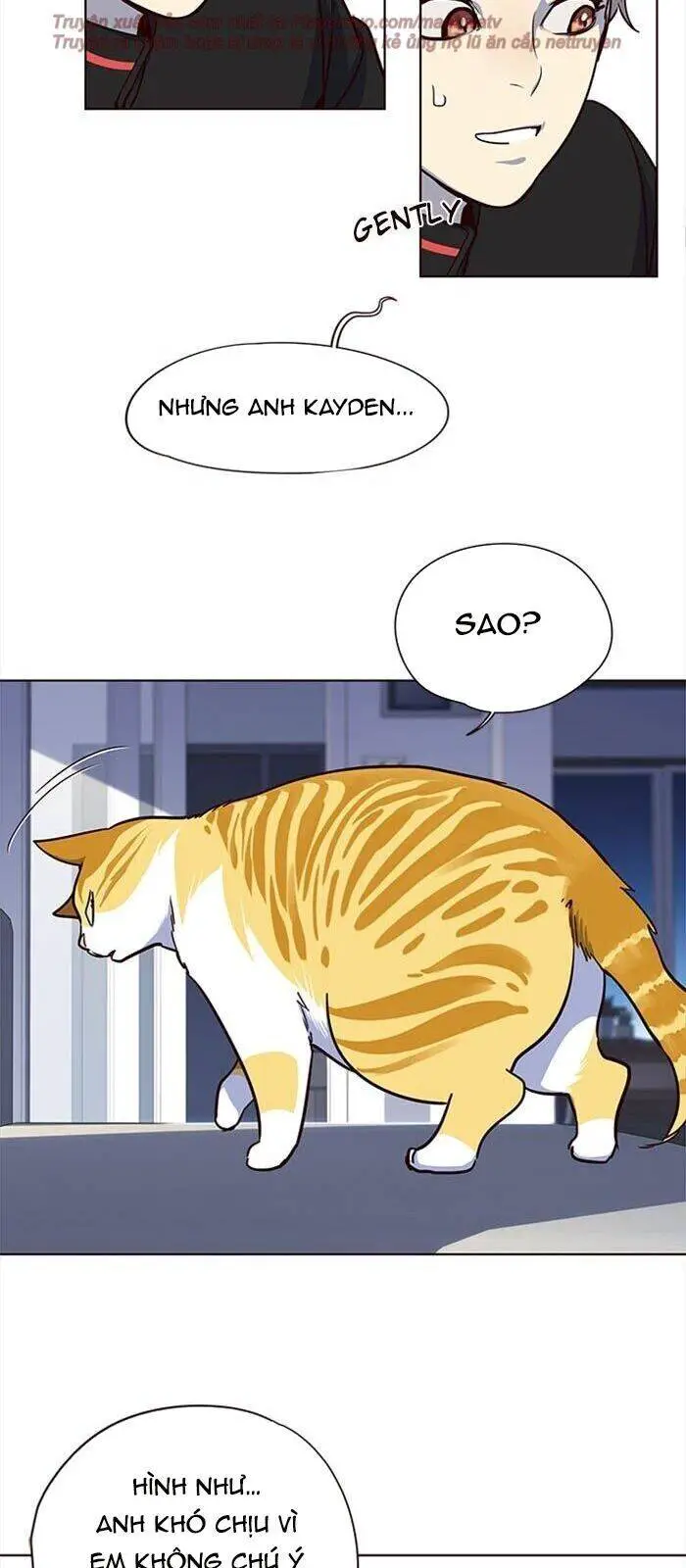 Hoá Thân Thành Mèo Nettruyen ZZZ Chương 36 Page 84