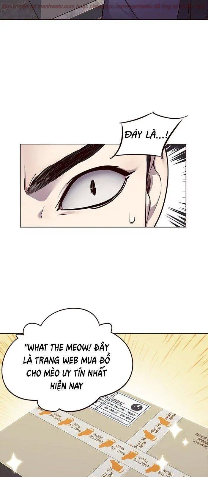 Hoá Thân Thành Mèo Nettruyen ZZZ Chương 39 Page 74