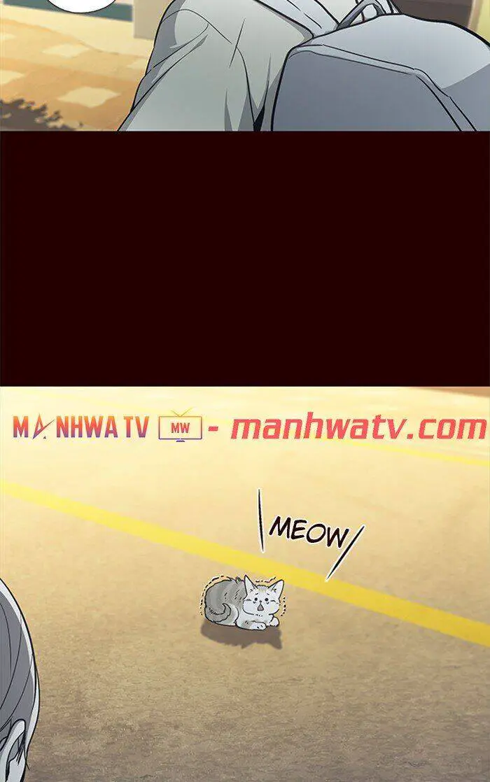 Hoá Thân Thành Mèo Nettruyen ZZZ Chương 27 Page 7