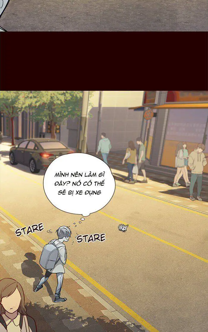 Hoá Thân Thành Mèo Nettruyen ZZZ Chương 27 Page 8