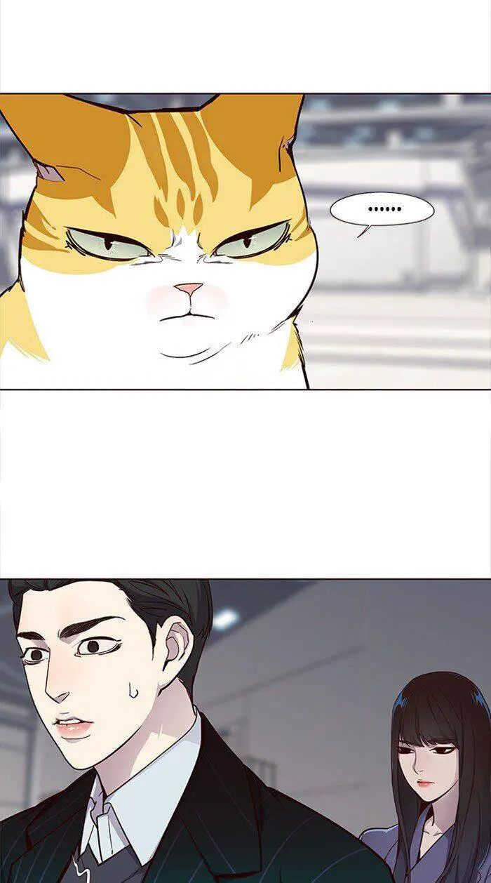 Hoá Thân Thành Mèo Nettruyen ZZZ Chương 27 Page 28