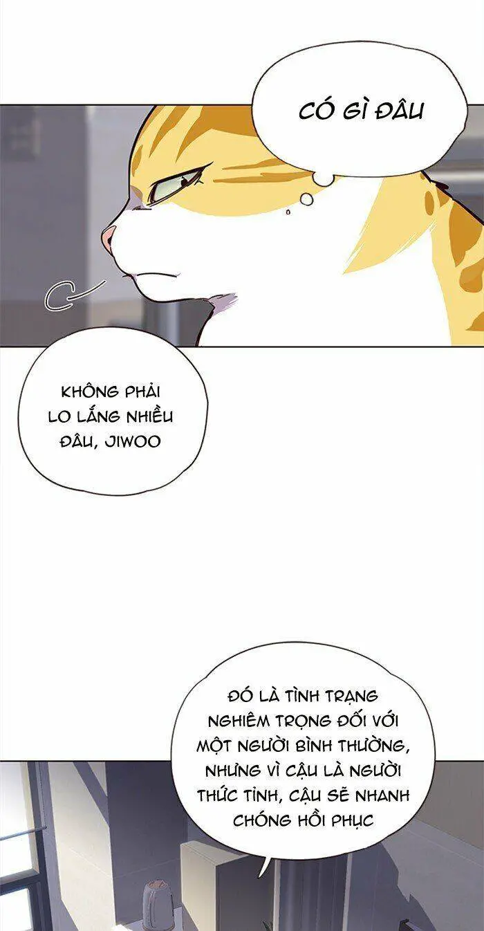 Hoá Thân Thành Mèo Nettruyen ZZZ Chương 28 Page 32