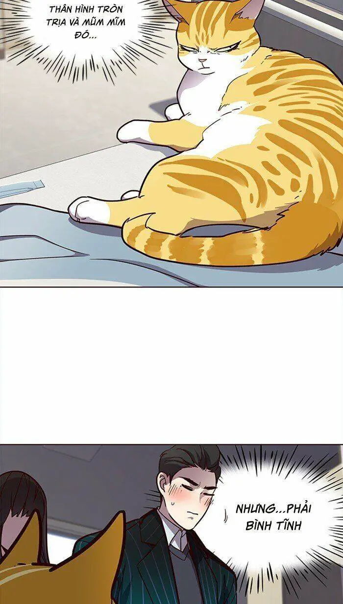 Hoá Thân Thành Mèo Nettruyen ZZZ Chương 28 Page 36
