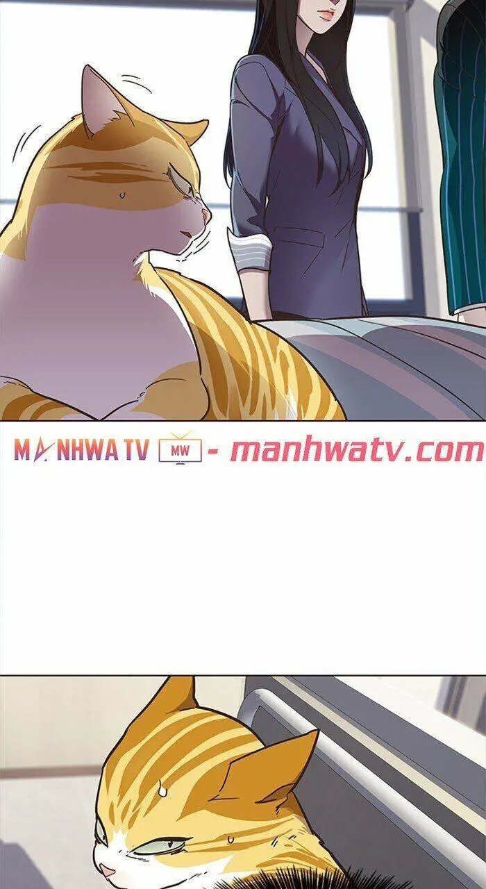 Hoá Thân Thành Mèo Nettruyen ZZZ Chương 28 Page 48