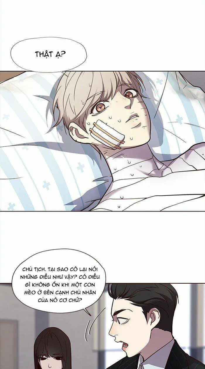 Hoá Thân Thành Mèo Nettruyen ZZZ Chương 28 Page 55