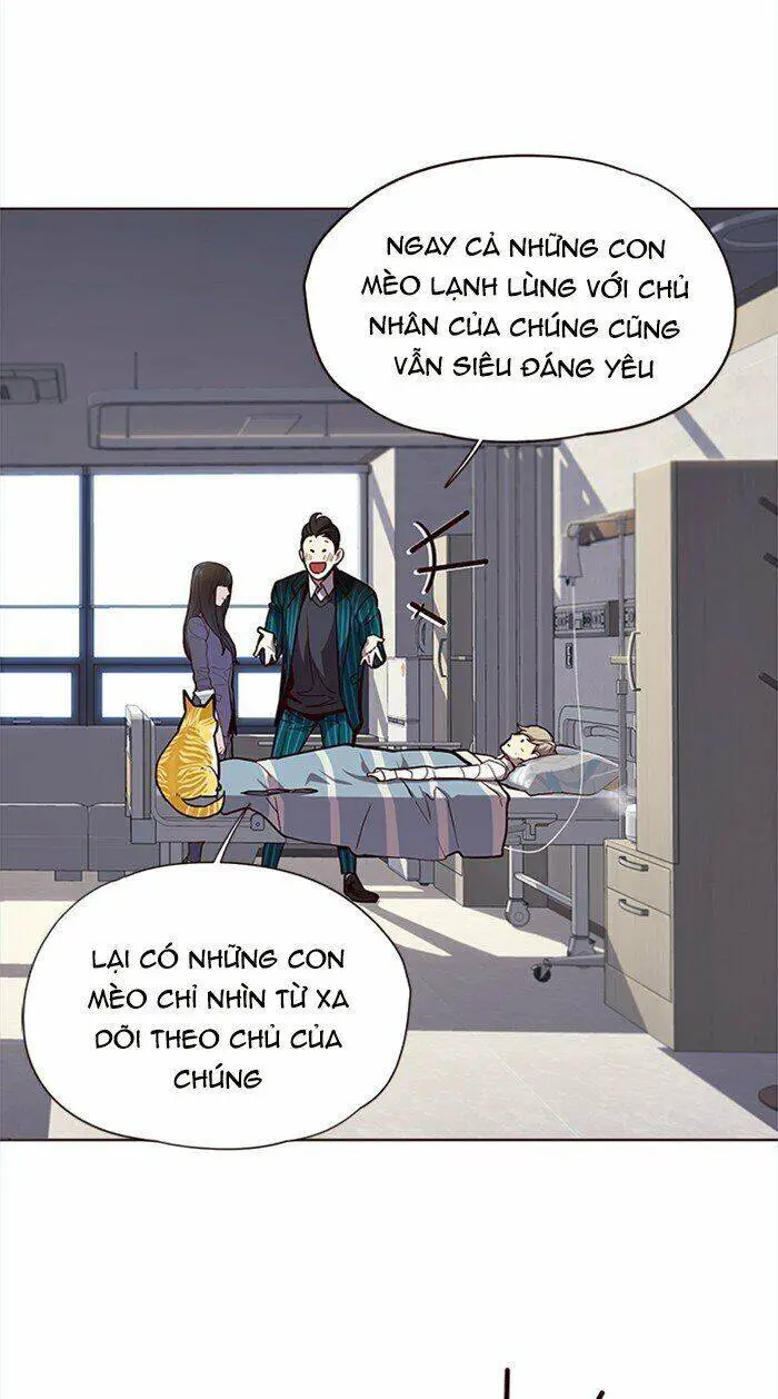 Hoá Thân Thành Mèo Nettruyen ZZZ Chương 28 Page 57