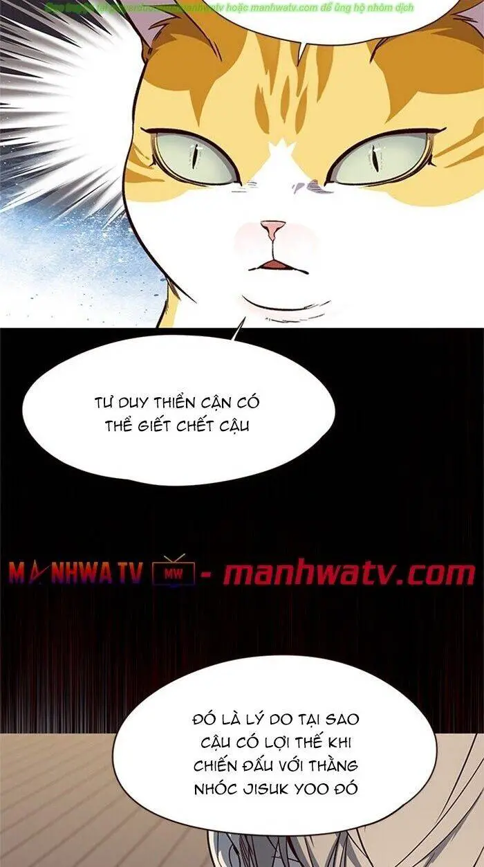 Hoá Thân Thành Mèo Nettruyen ZZZ Chương 43 Page 17