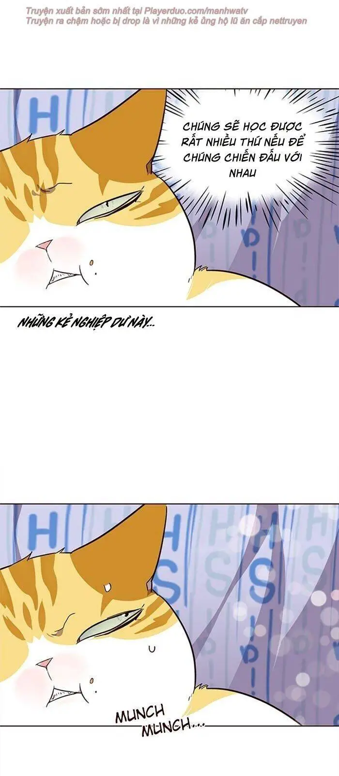 Hoá Thân Thành Mèo Nettruyen ZZZ Chương 34 Page 52