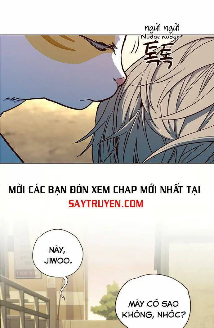 Hoá Thân Thành Mèo Nettruyen ZZZ Chương 14 Page 17