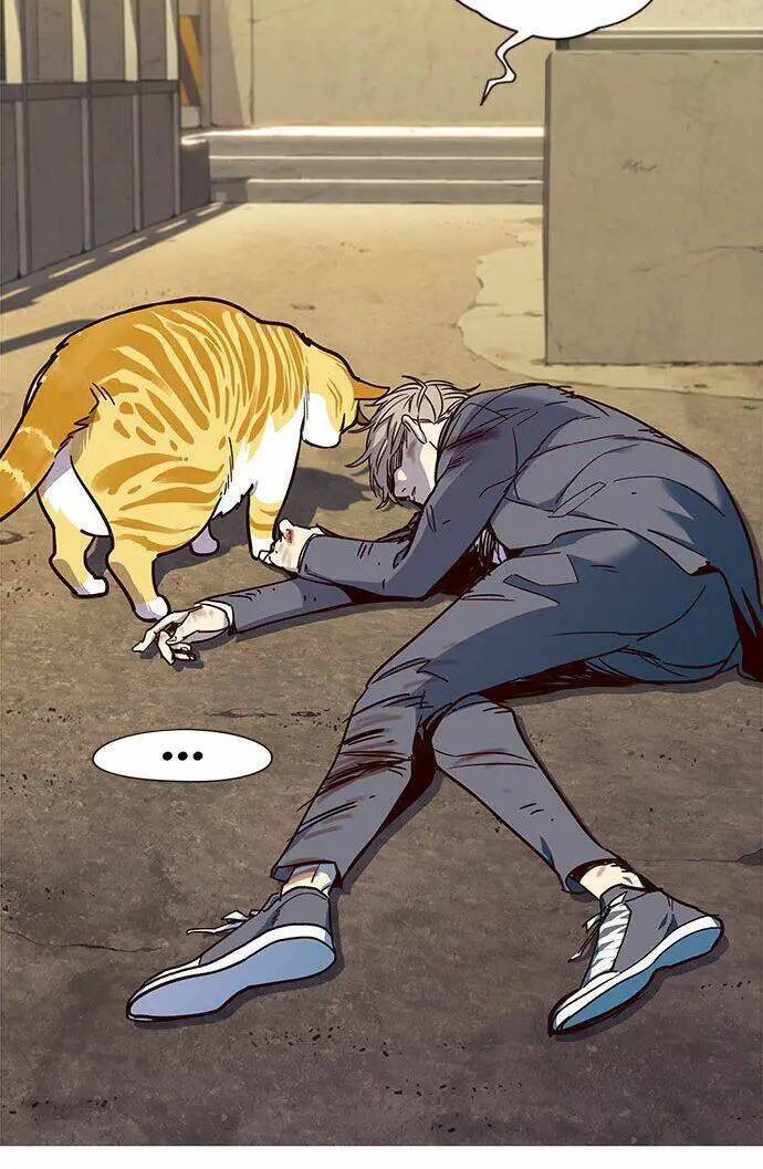 Hoá Thân Thành Mèo Nettruyen ZZZ Chương 14 Page 18