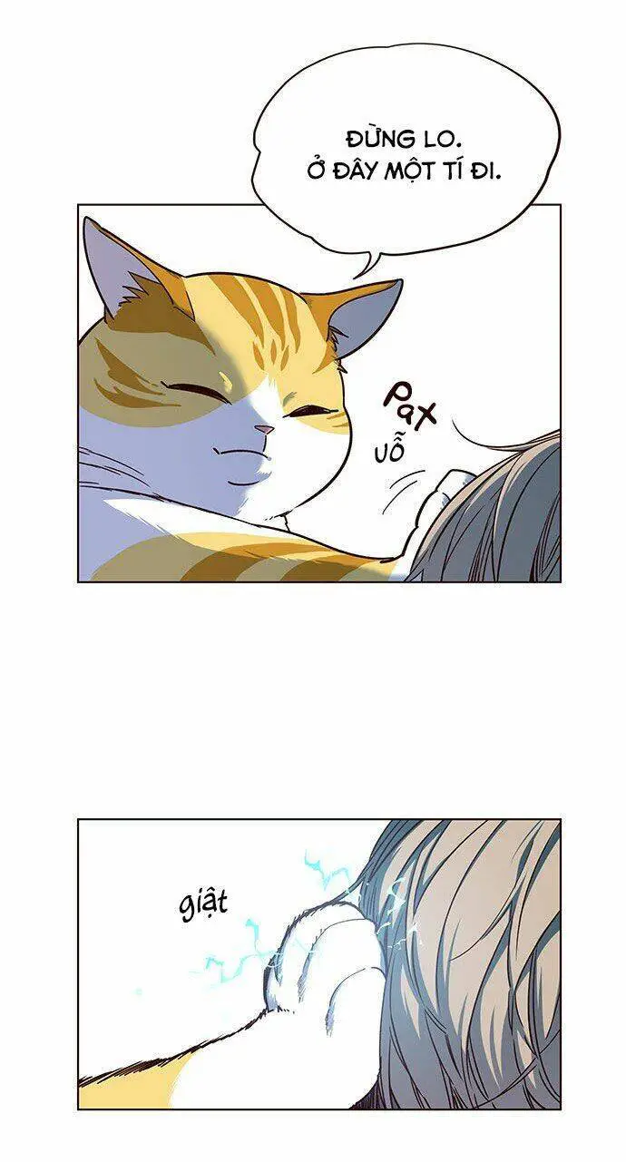 Hoá Thân Thành Mèo Nettruyen ZZZ Chương 14 Page 32