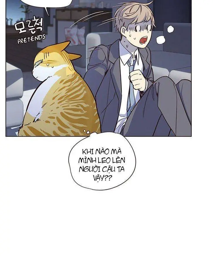 Hoá Thân Thành Mèo Nettruyen ZZZ Chương 8 Page 26