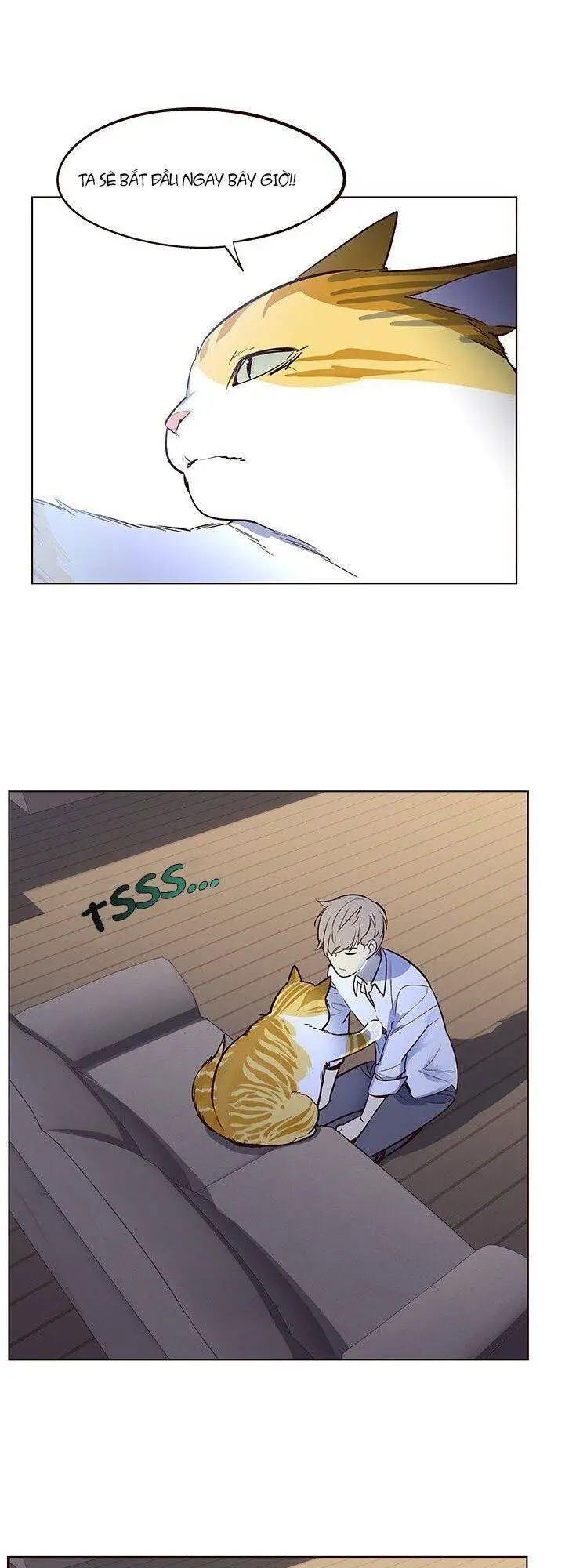 Hoá Thân Thành Mèo Nettruyen ZZZ Chương 8 Page 47