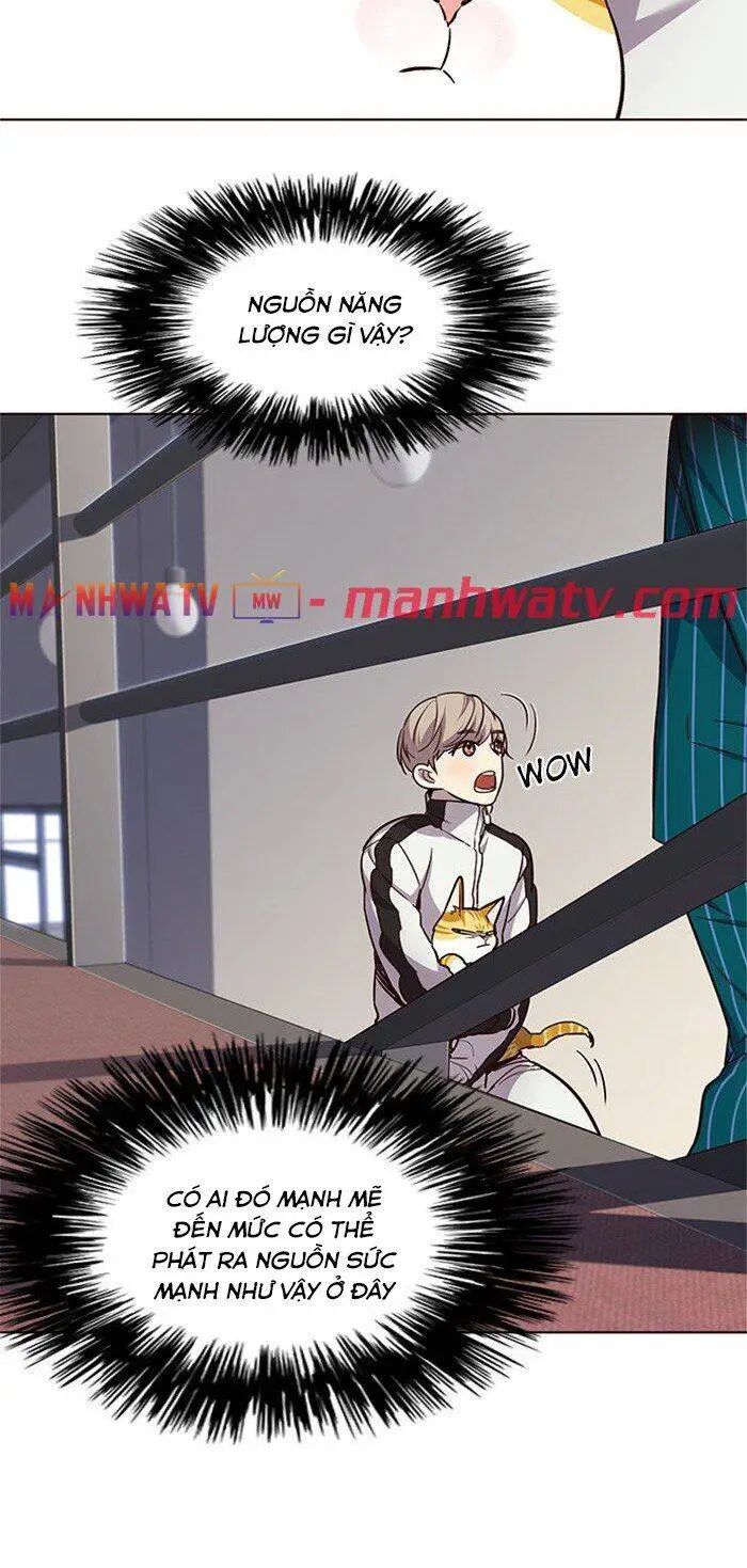 Hoá Thân Thành Mèo Nettruyen ZZZ Chương 24 Page 8