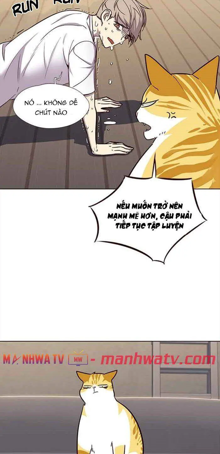 Hoá Thân Thành Mèo Nettruyen ZZZ Chương 23 Page 20