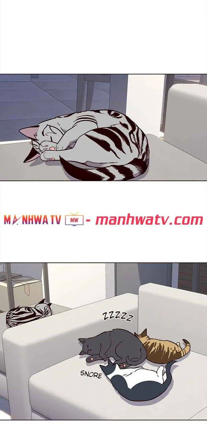 Hoá Thân Thành Mèo Nettruyen ZZZ Chương 23 Page 30