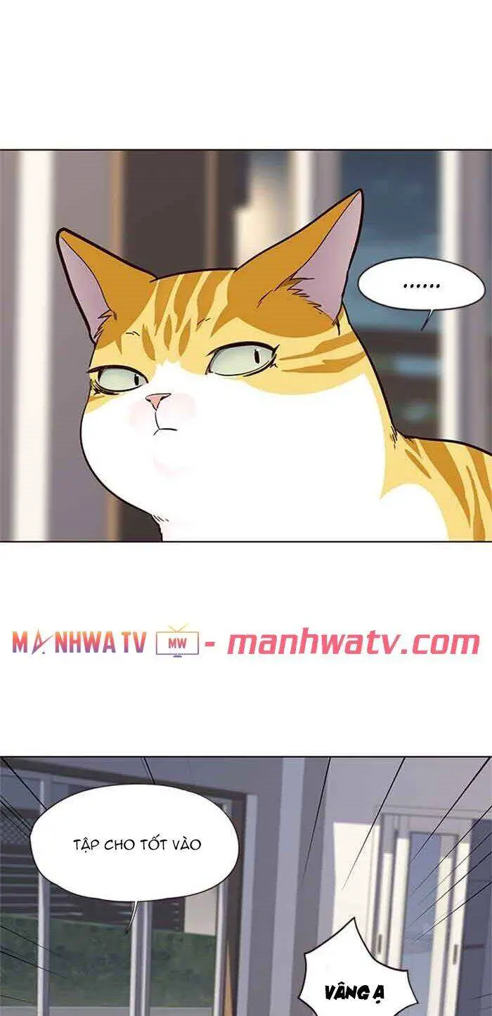 Hoá Thân Thành Mèo Nettruyen ZZZ Chương 23 Page 46