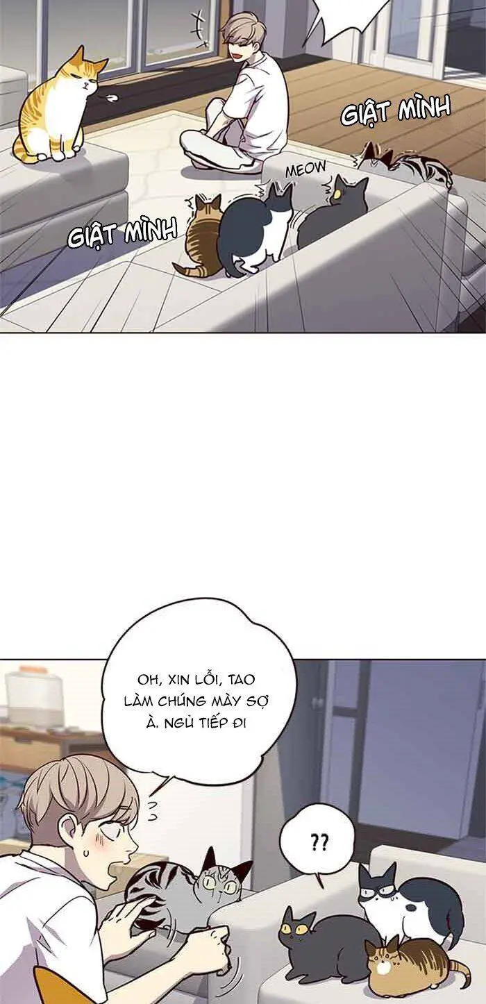 Hoá Thân Thành Mèo Nettruyen ZZZ Chương 23 Page 47