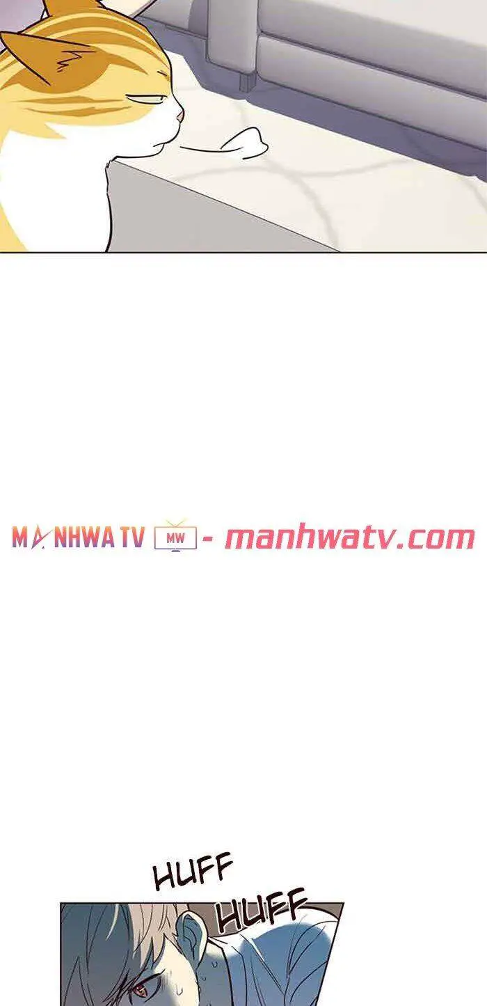 Hoá Thân Thành Mèo Nettruyen ZZZ Chương 23 Page 48
