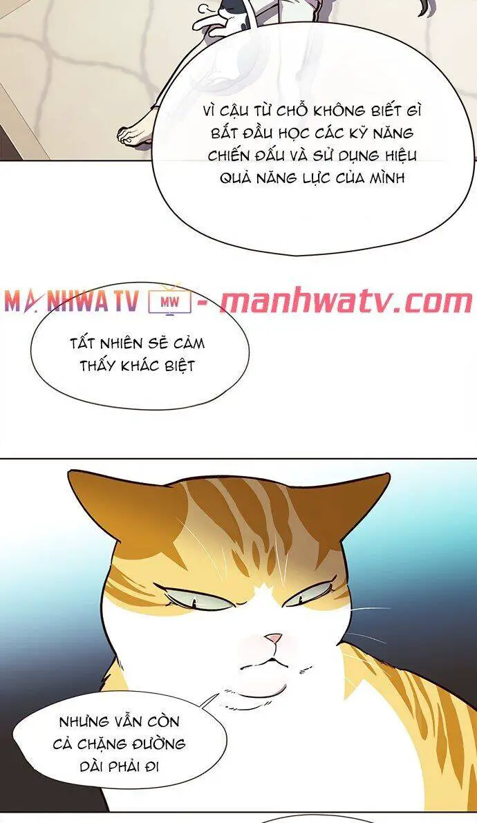 Hoá Thân Thành Mèo Nettruyen ZZZ Chương 22 Page 17