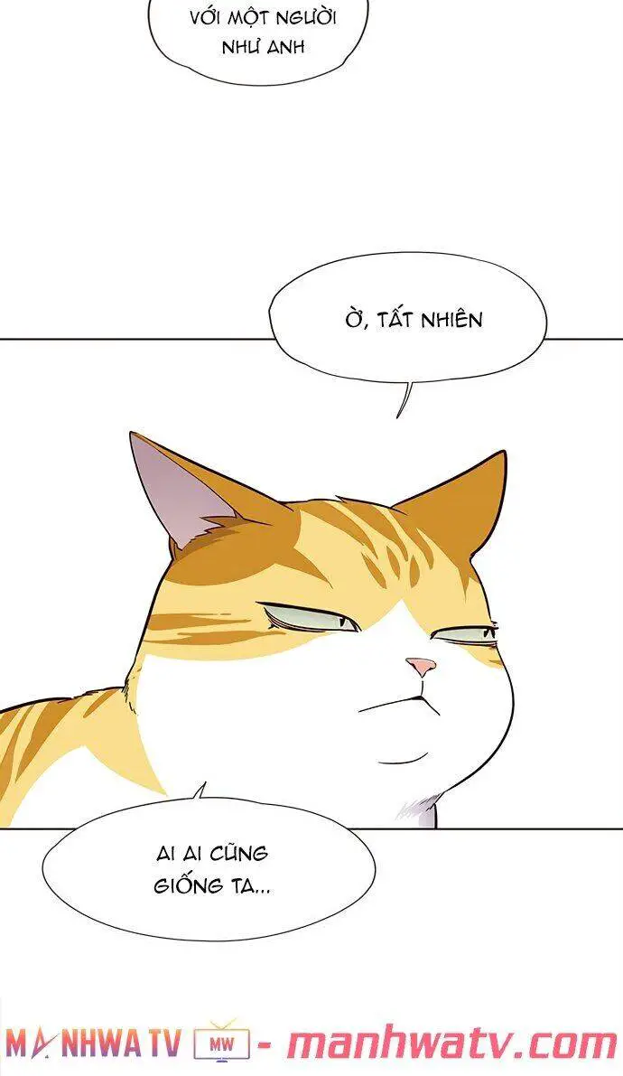 Hoá Thân Thành Mèo Nettruyen ZZZ Chương 22 Page 19