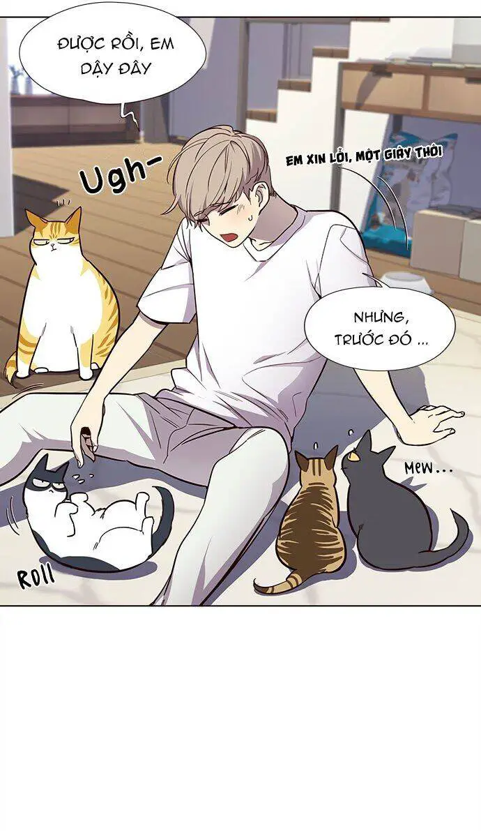 Hoá Thân Thành Mèo Nettruyen ZZZ Chương 22 Page 22