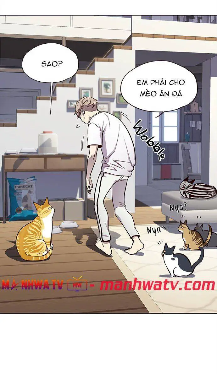 Hoá Thân Thành Mèo Nettruyen ZZZ Chương 22 Page 23