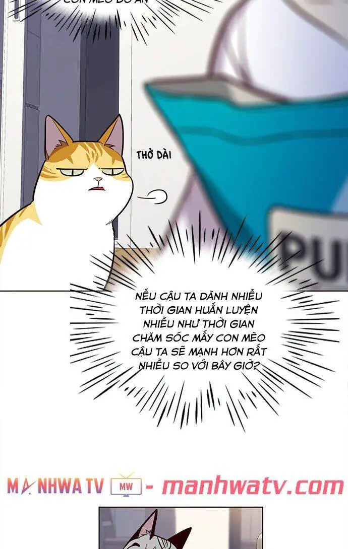 Hoá Thân Thành Mèo Nettruyen ZZZ Chương 22 Page 27