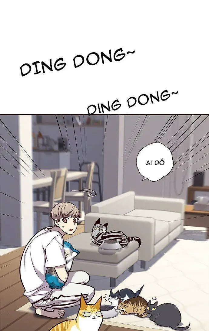 Hoá Thân Thành Mèo Nettruyen ZZZ Chương 22 Page 31