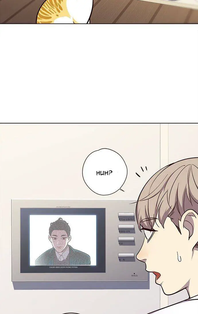 Hoá Thân Thành Mèo Nettruyen ZZZ Chương 22 Page 32