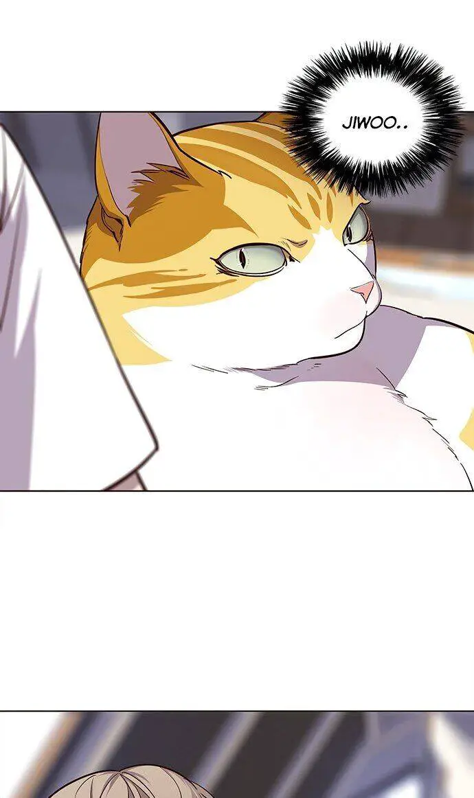 Hoá Thân Thành Mèo Nettruyen ZZZ Chương 22 Page 64