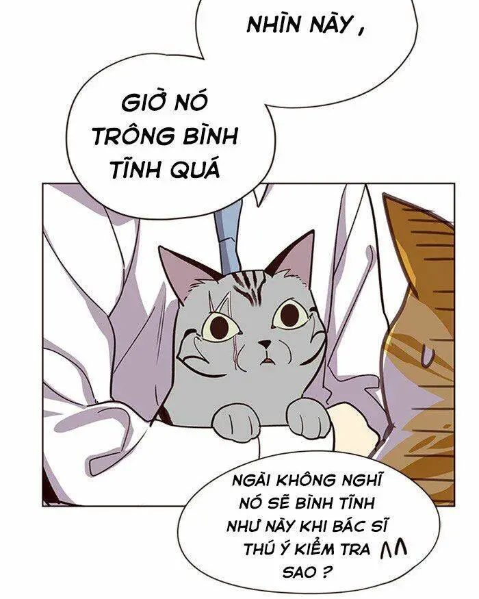 Hoá Thân Thành Mèo Nettruyen ZZZ Chương 10 Page 26