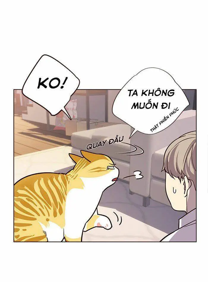 Hoá Thân Thành Mèo Nettruyen ZZZ Chương 10 Page 30