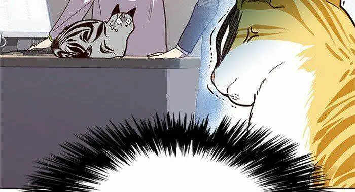 Hoá Thân Thành Mèo Nettruyen ZZZ Chương 10 Page 44