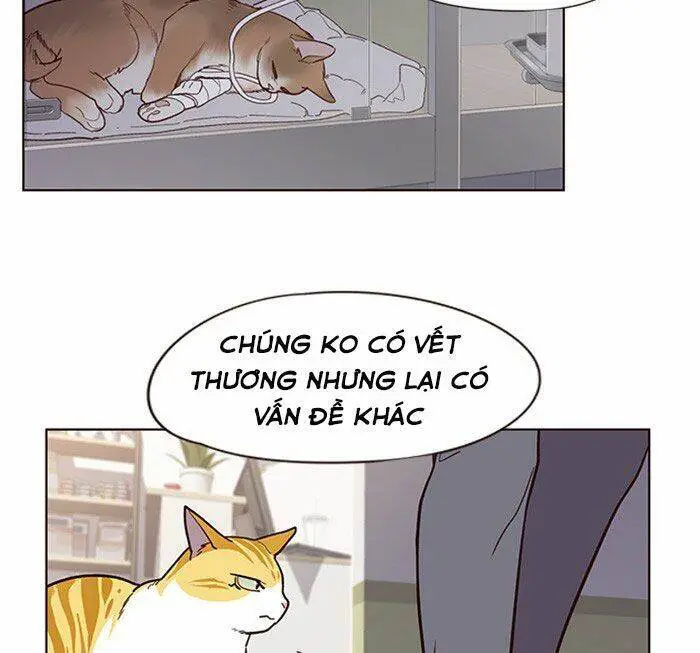 Hoá Thân Thành Mèo Nettruyen ZZZ Chương 10 Page 48