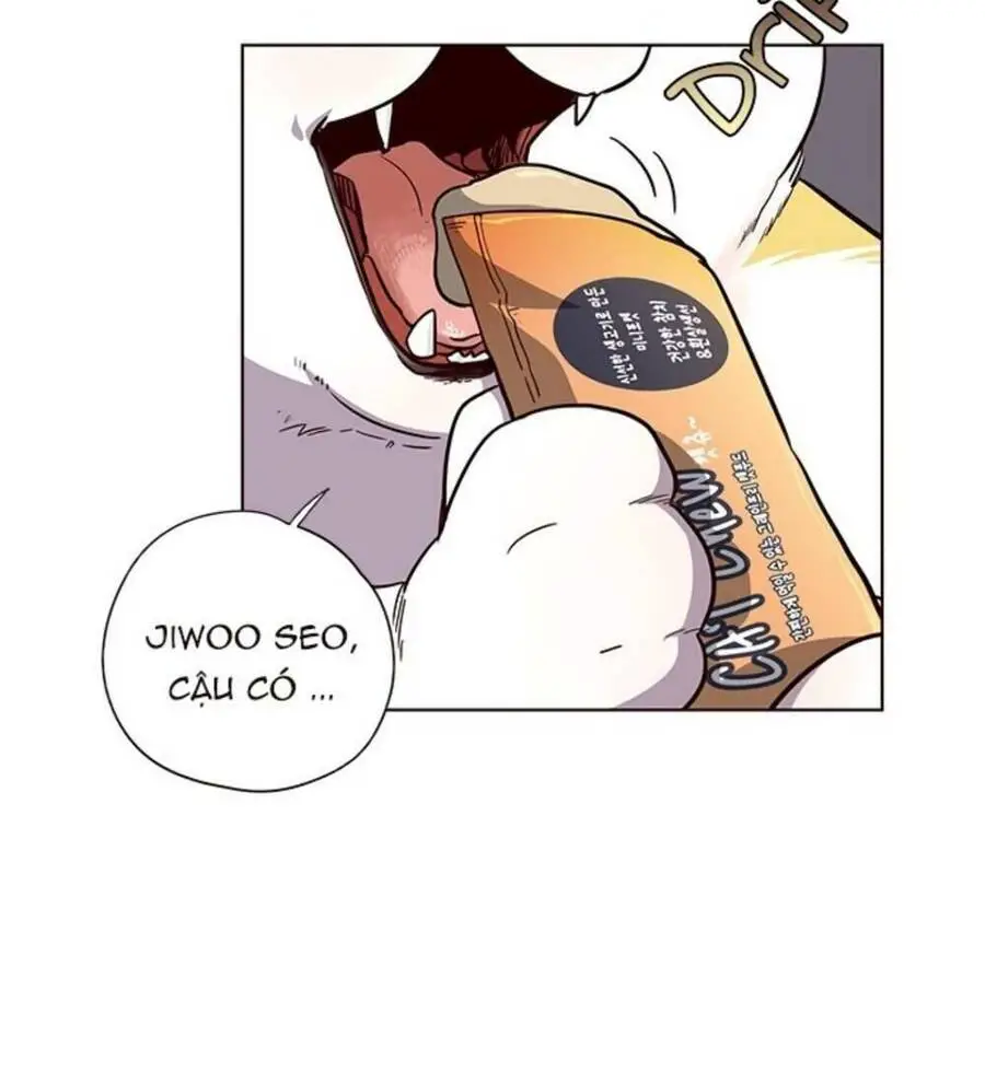 Hoá Thân Thành Mèo Nettruyen ZZZ Chương 19 Page 26