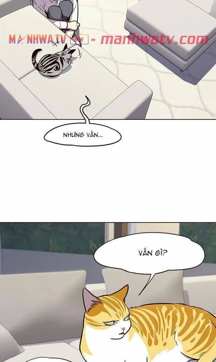 Hoá Thân Thành Mèo Nettruyen ZZZ Chương 21 Page 31