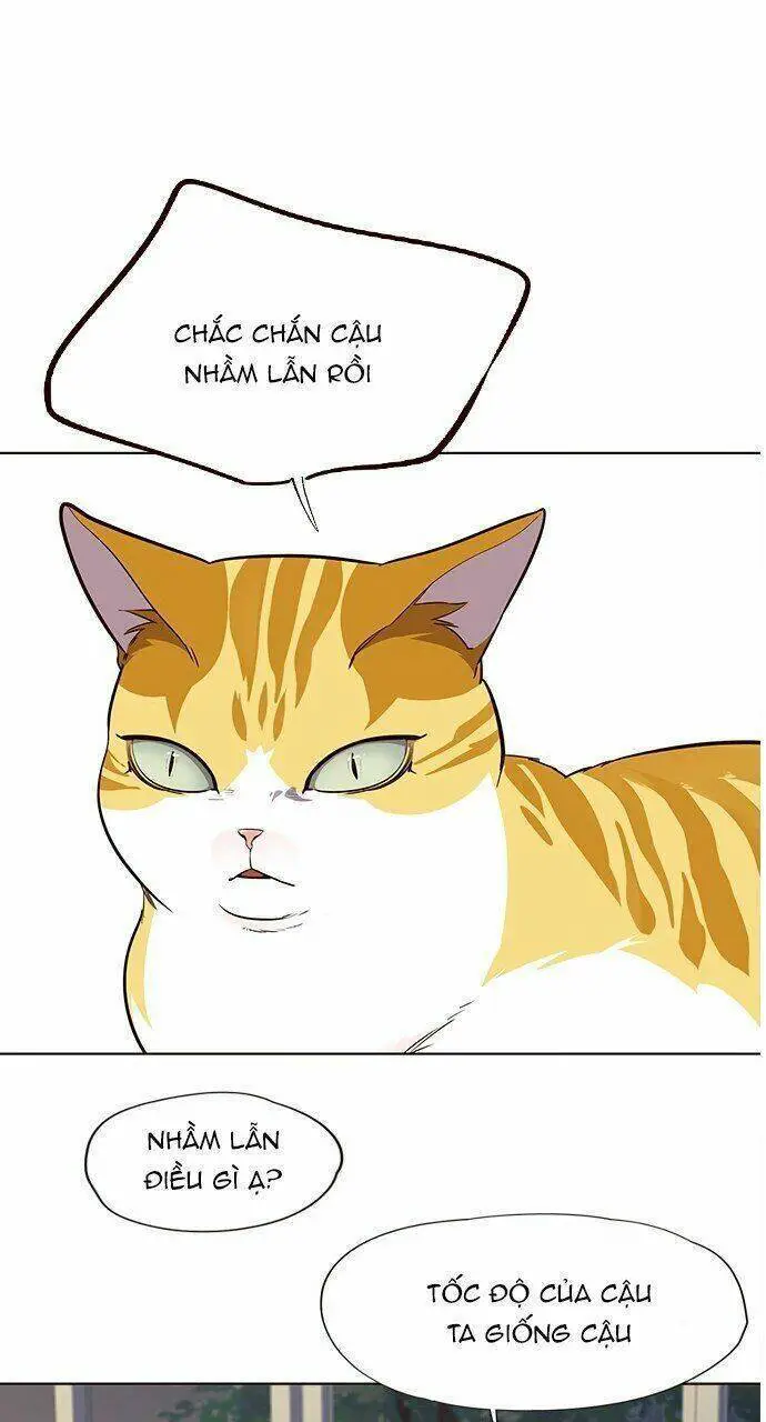 Hoá Thân Thành Mèo Nettruyen ZZZ Chương 21 Page 42